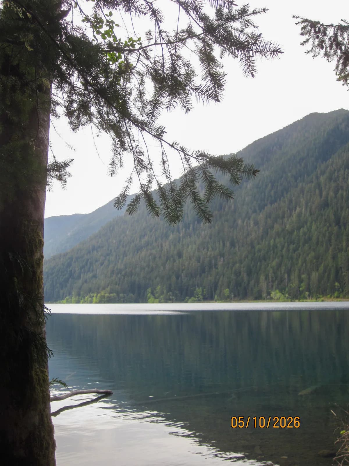 Lake in Olympic National Park